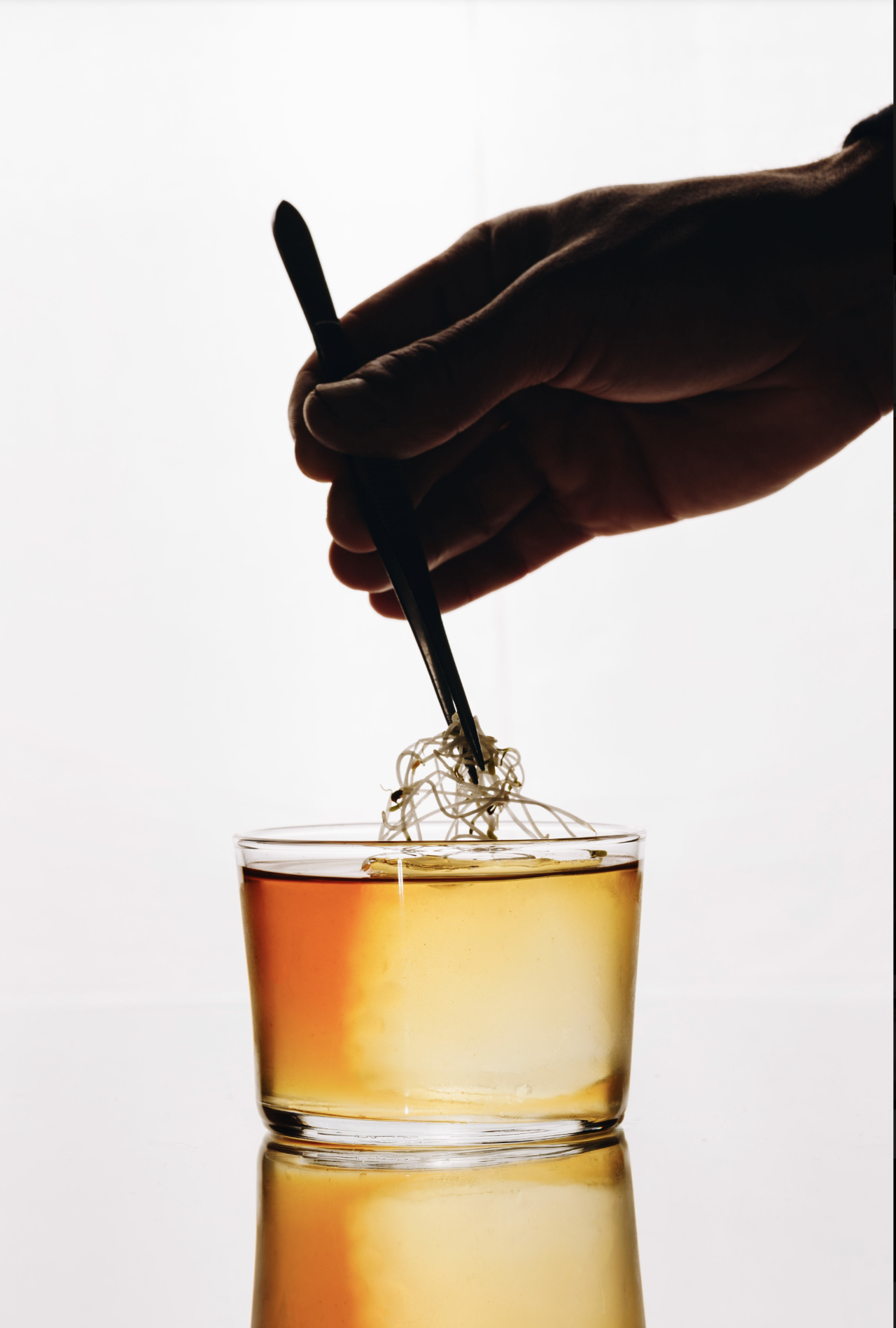 Pepino Spritz