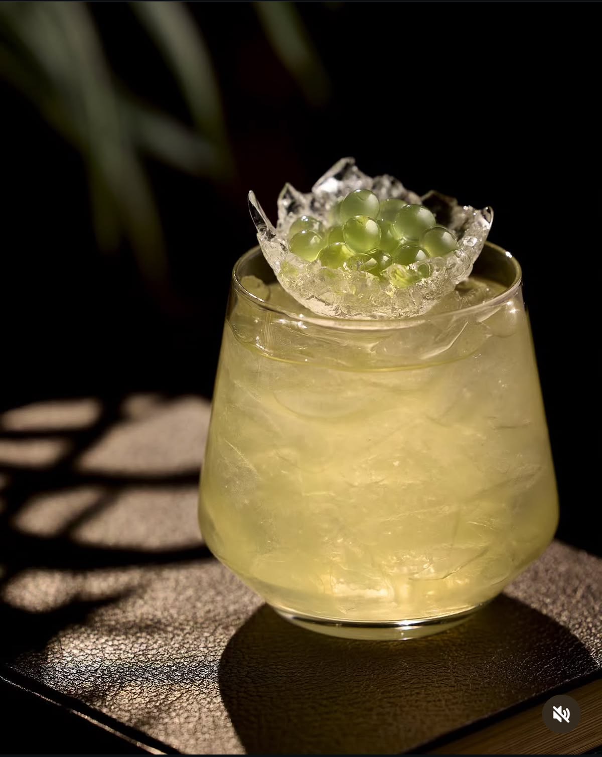 Paloma